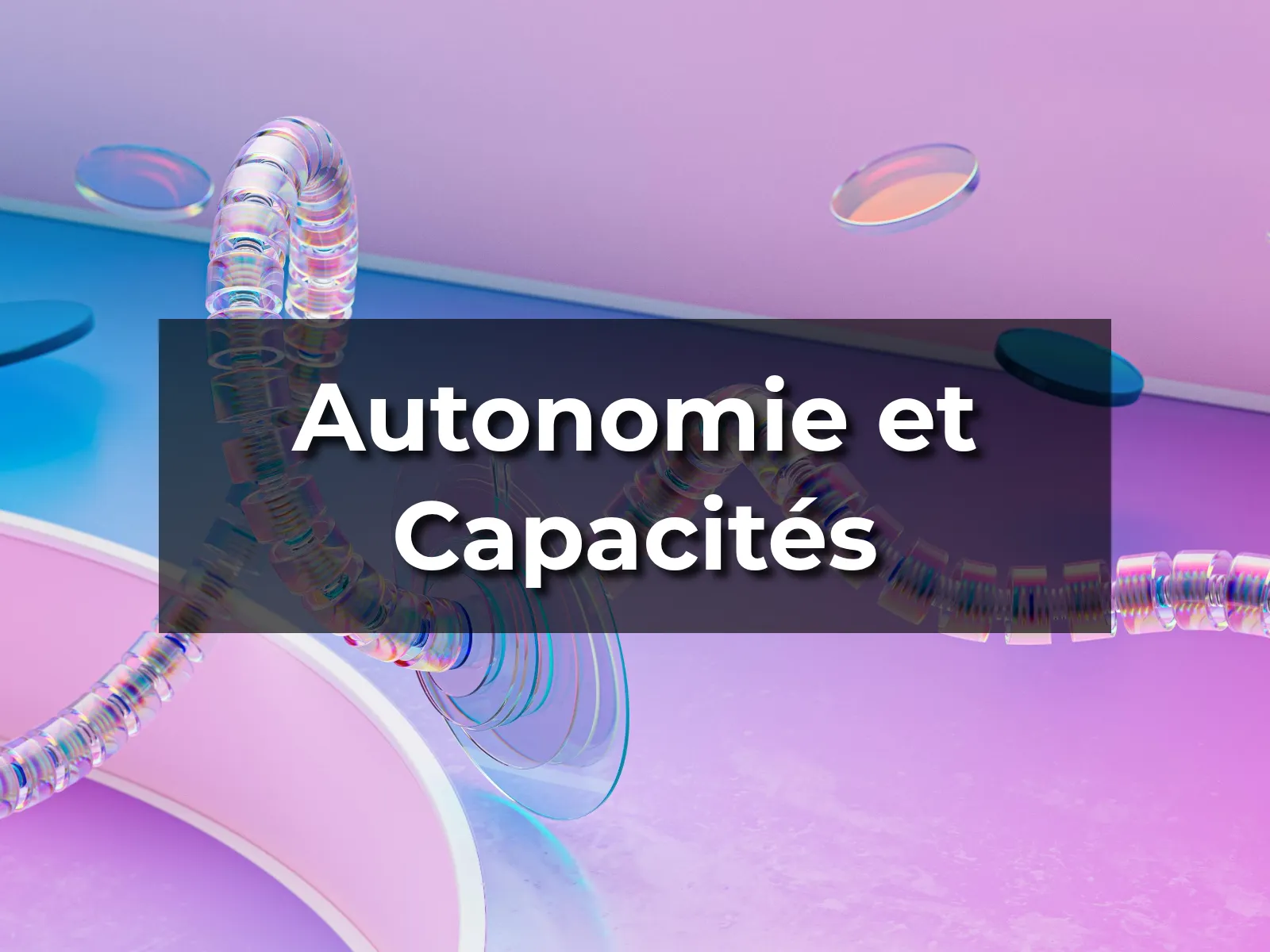 Autonomie et Capacités