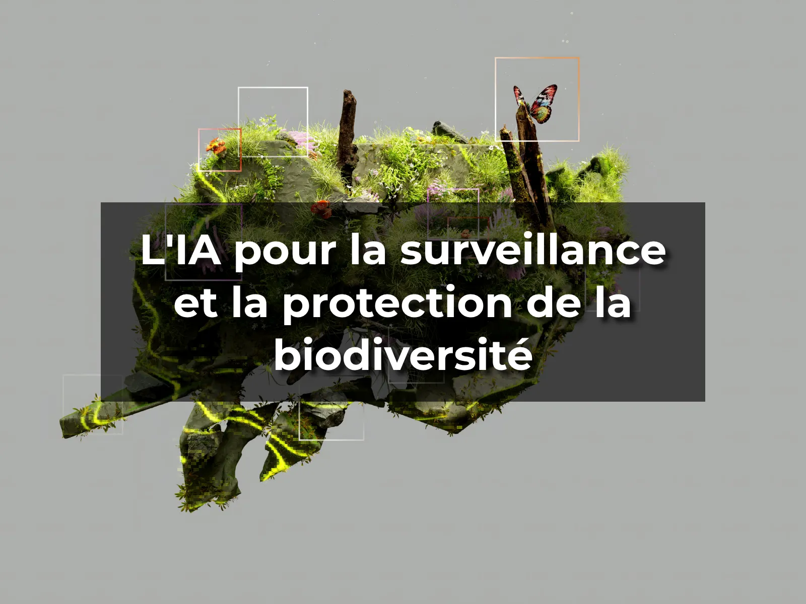 L'IA pour la surveillance et la protection de la biodiversité