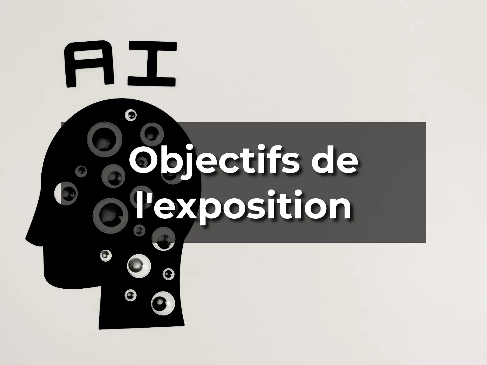 Objectifs de l'exposition