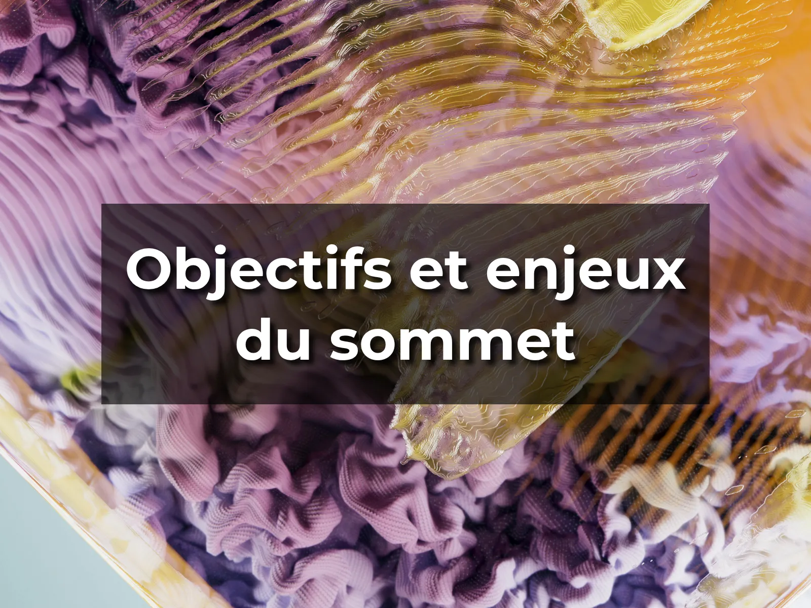 Objectifs et enjeux du sommet