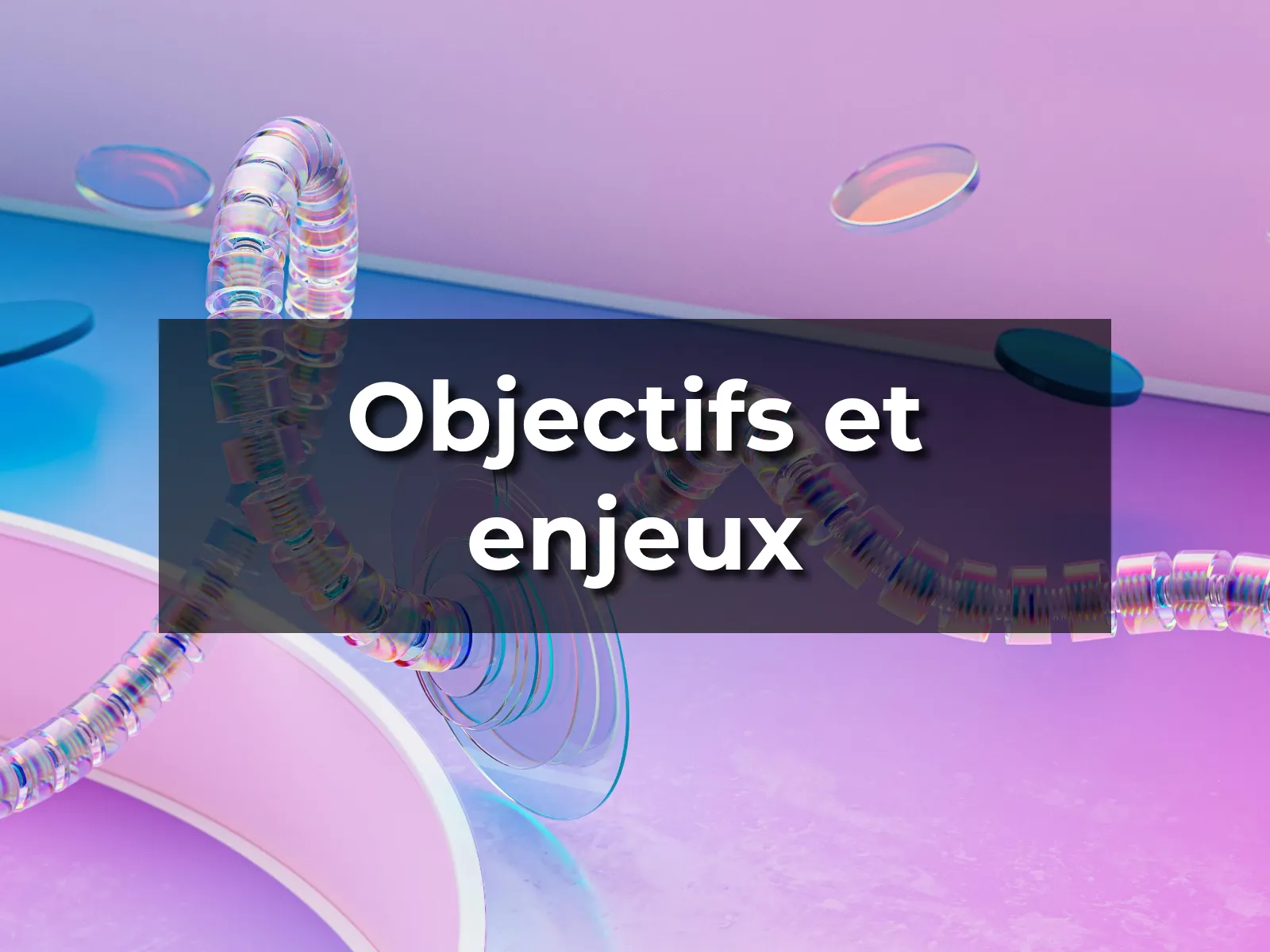 Objectifs et enjeux