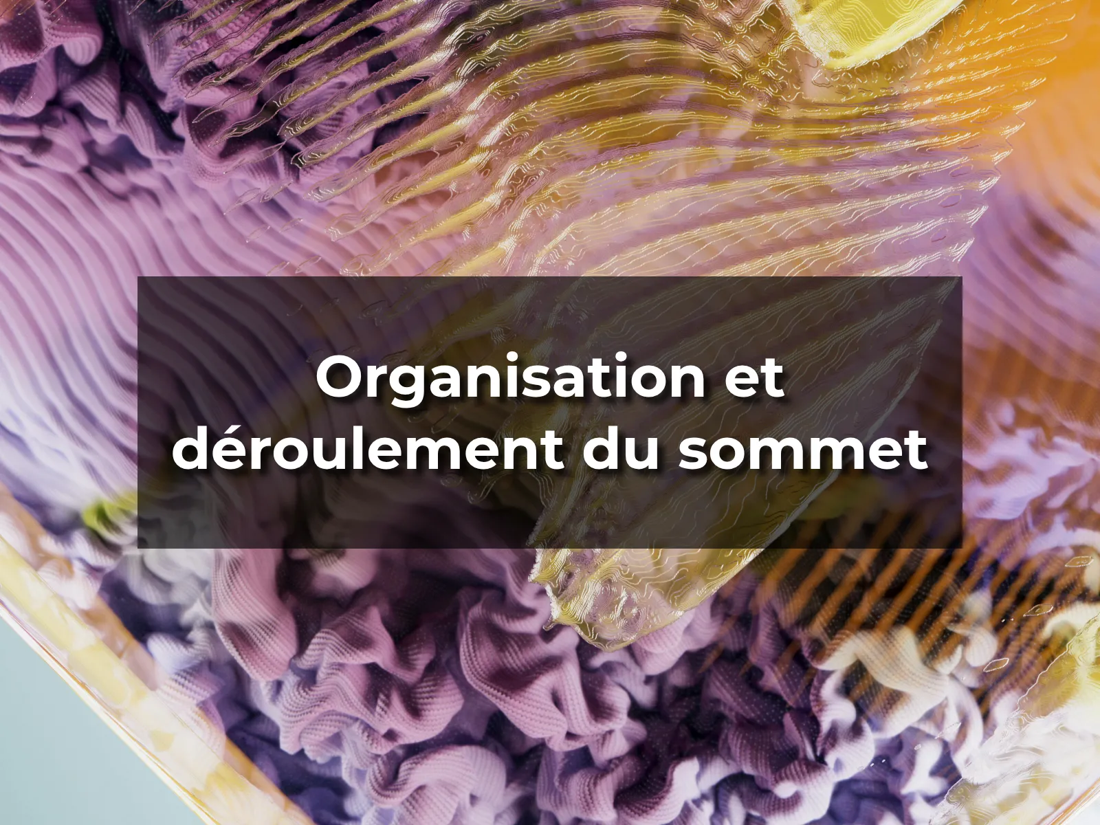 Organisation et déroulement du sommet
