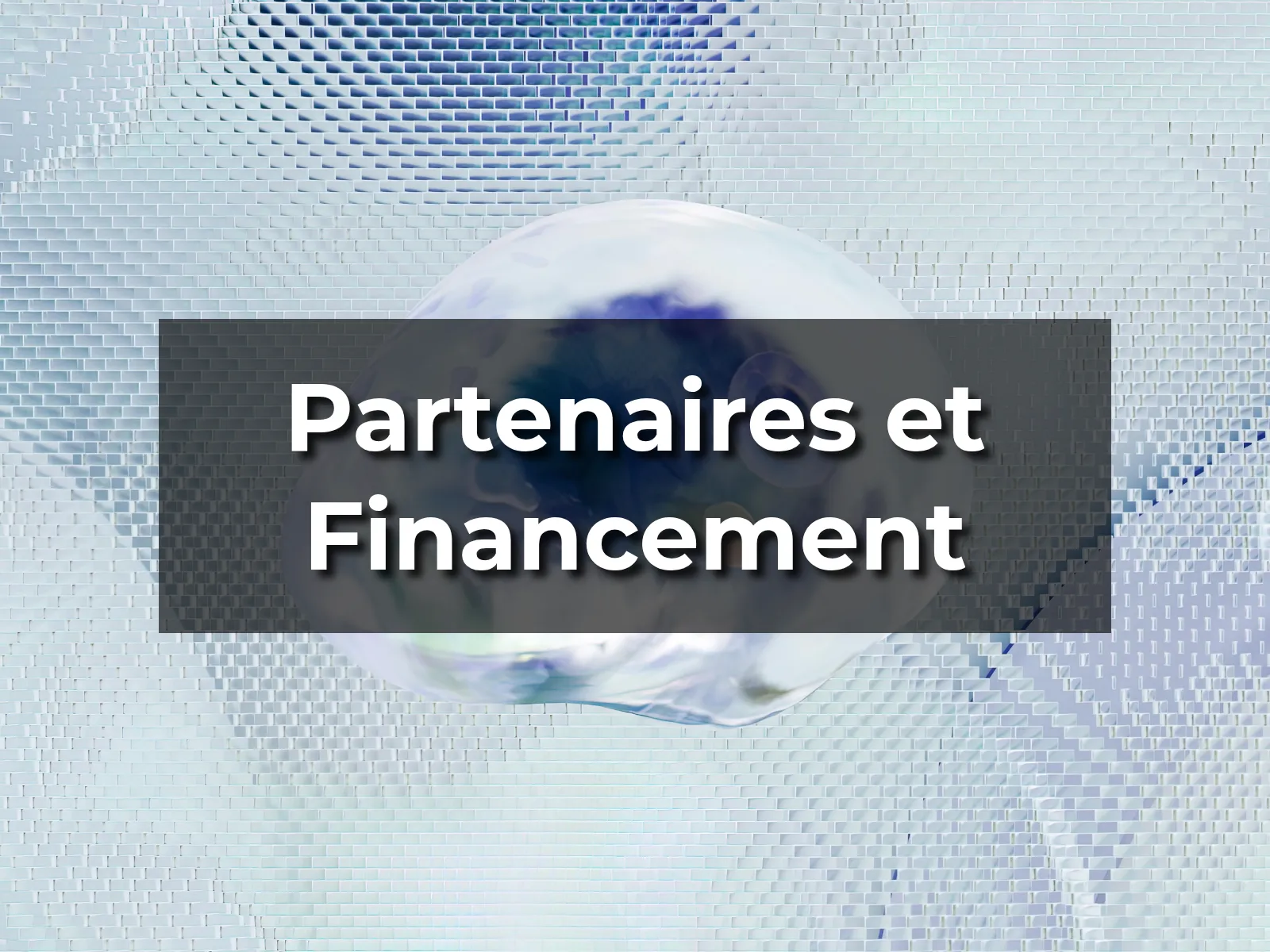 Partenaires et Financement