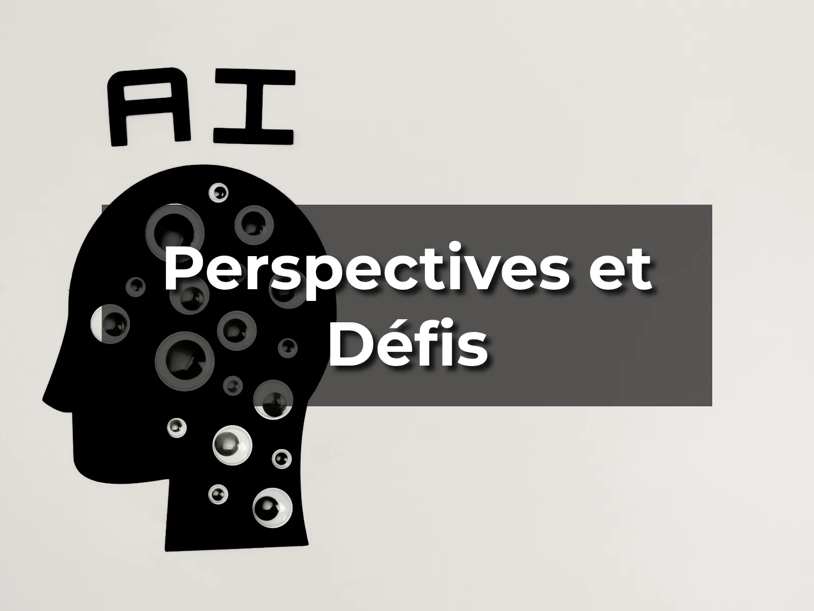 Perspectives et Défis