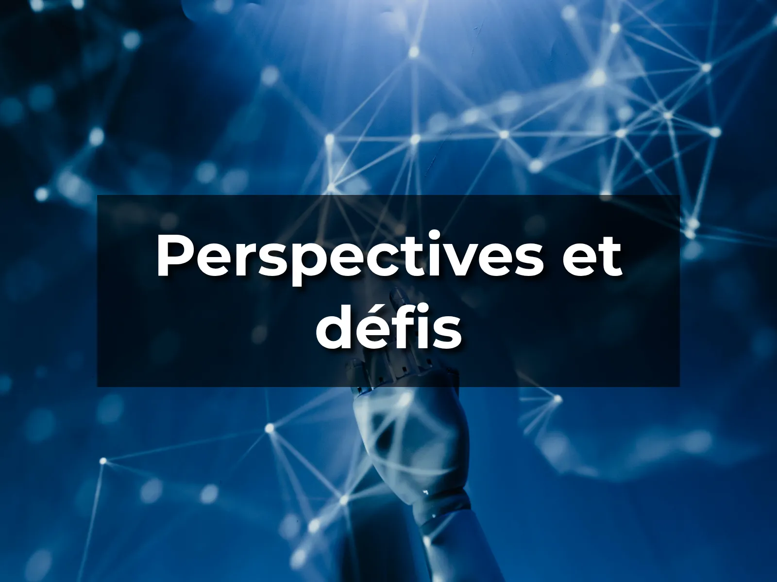 Perspectives et défis