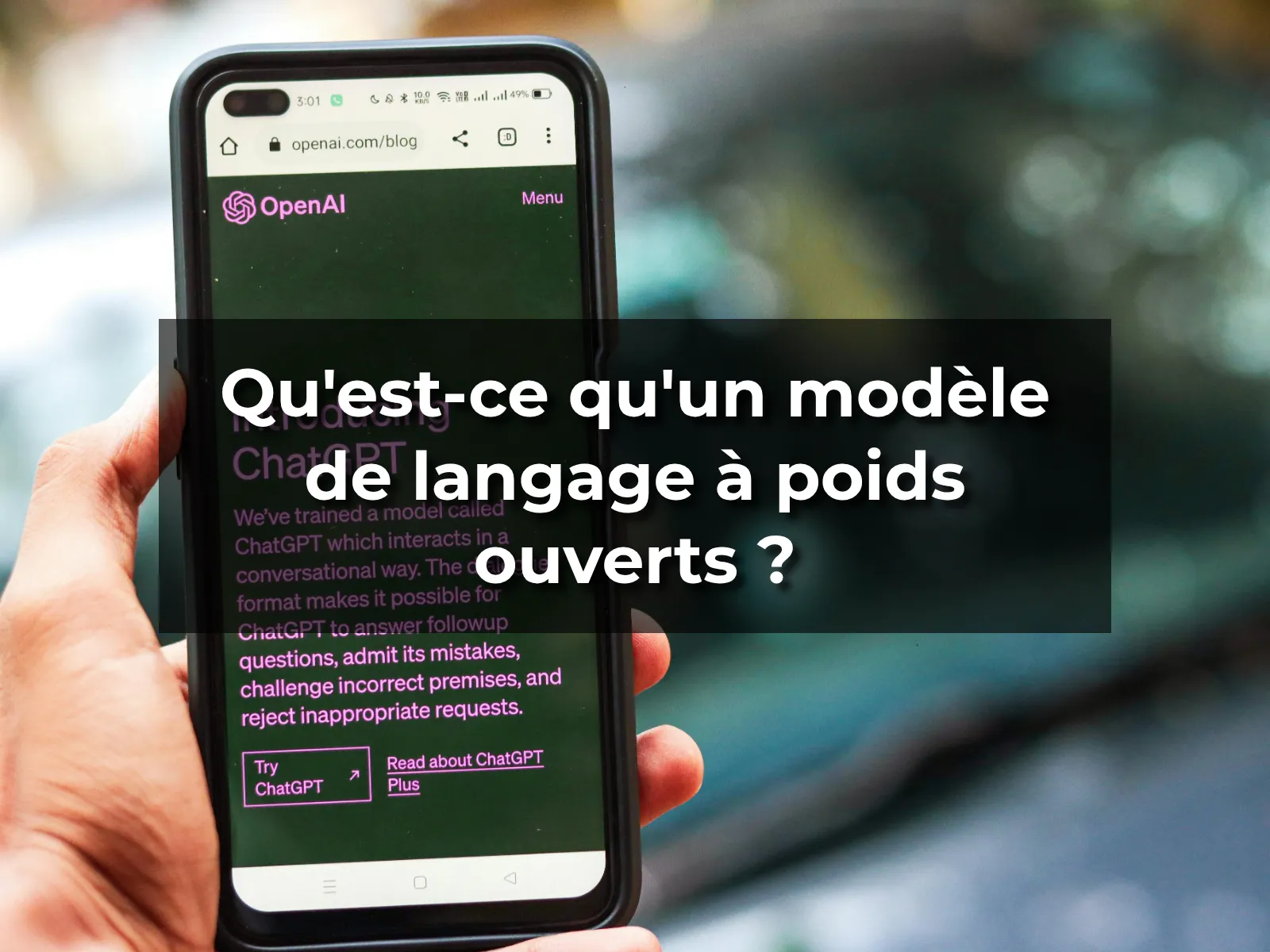 Qu'est-ce qu'un modèle de langage à poids ouverts ?